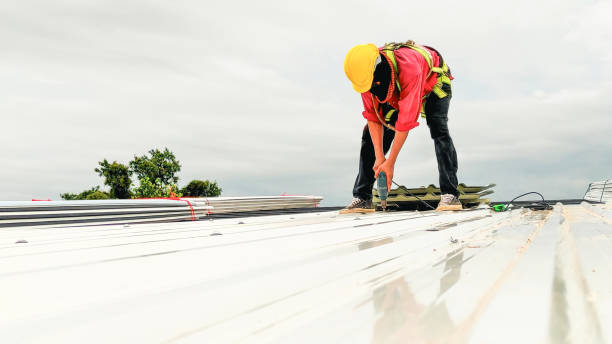Best Flat Roofing  in Acres Green, CO